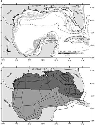 Producing Distribution Maps for a Spatially-Explicit Ecosystem Model Using Large Monitoring and Environmental Databases and a Combination of Interpolation and Extrapolation